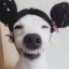 扶摇