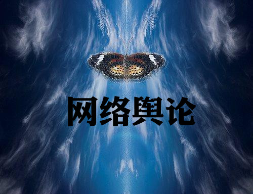 网络舆论