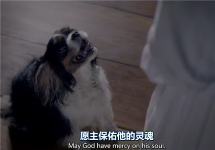 剧中截图5