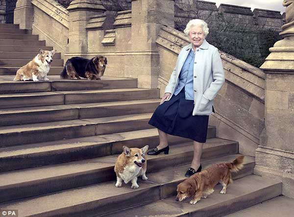 英女王爱犬安乐死 曾亮相伦敦奥运开幕式