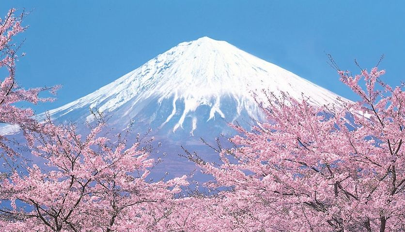 实战口语情景对话：攀登富士山 Climbing Fuji