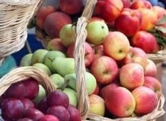 实战口语情景对话：Great Fruit 丰富的水果
