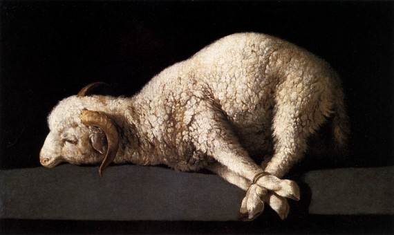替罪羊（scapegoat）、败家羊（black sheep），为何英语中背锅的总是羊