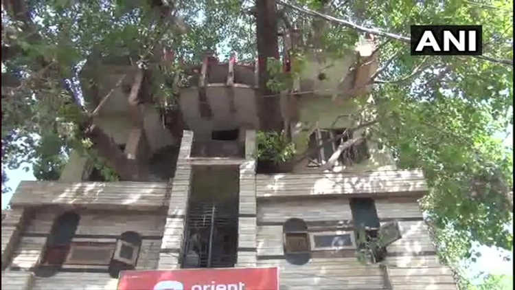 与其砍倒150年的树，不如就地建房子