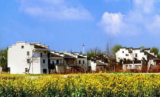 每日一词∣乡村治理 rural governance