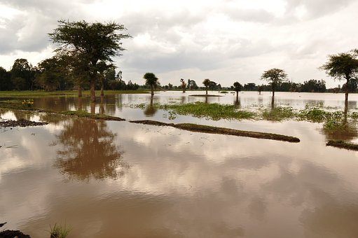 卡纳塔克邦发生洪灾，自8月1日以来，40人死亡，14人失踪