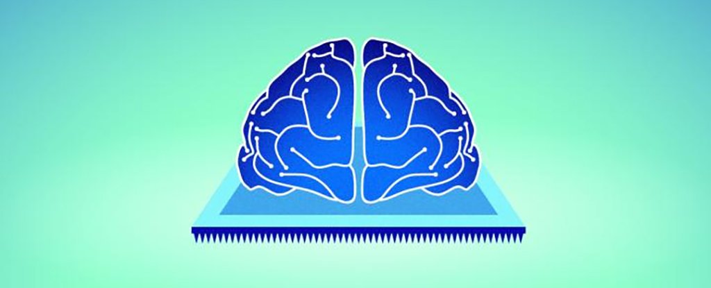 物理学家创造了一种可以“忘记”记忆的装置，就像人脑一样