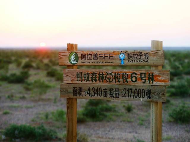 带动5亿人参与低碳生活 蚂蚁森林获联合国“地球卫士奖”