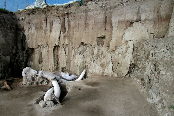 15000年前的猛犸象陷阱，是古代猎人的第一个证据