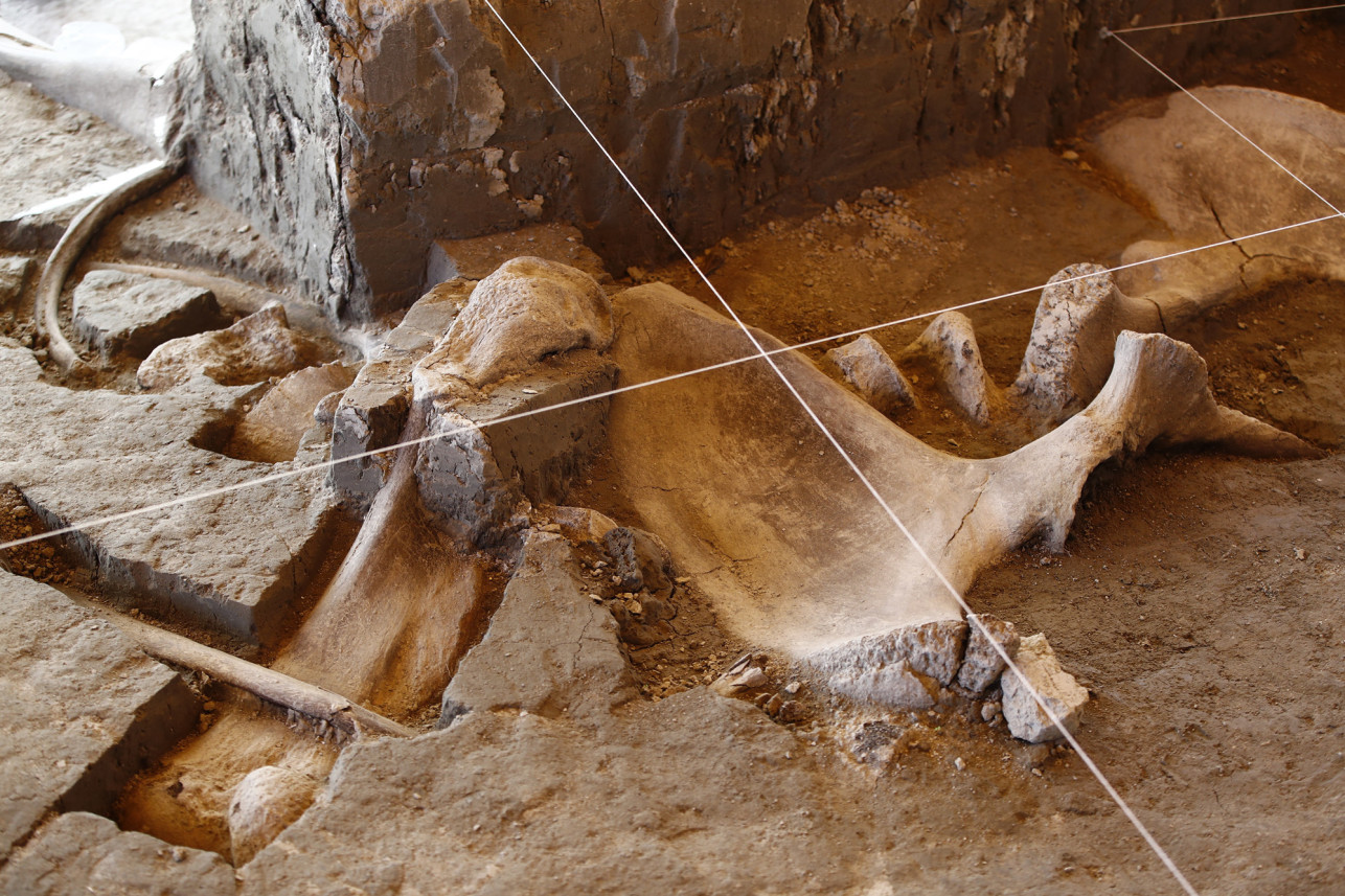 15000年前的猛犸象陷阱，是古代猎人的第一个证据